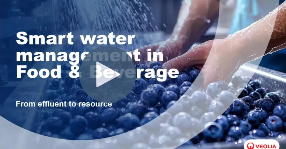 Webinar FB replay preview